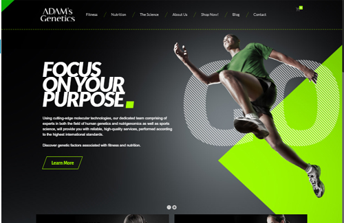 AGMSYS Infotech Portfolio
